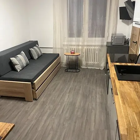 Jonas - Riegrova 41 Apartment Decin