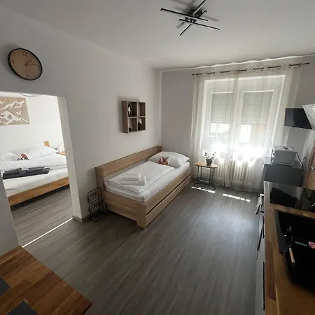 Apartmán Riegrova 41 *