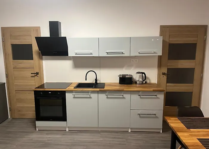 Apartament Jonas - Riegrova 41 *