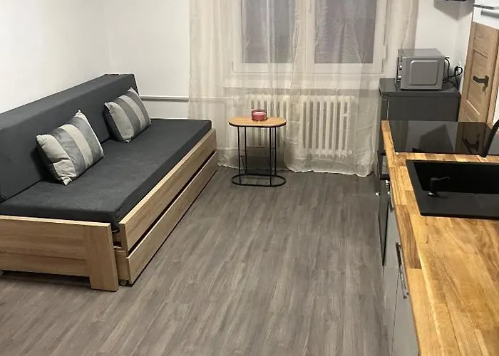 Jonas - Riegrova 41 Appartement Decin